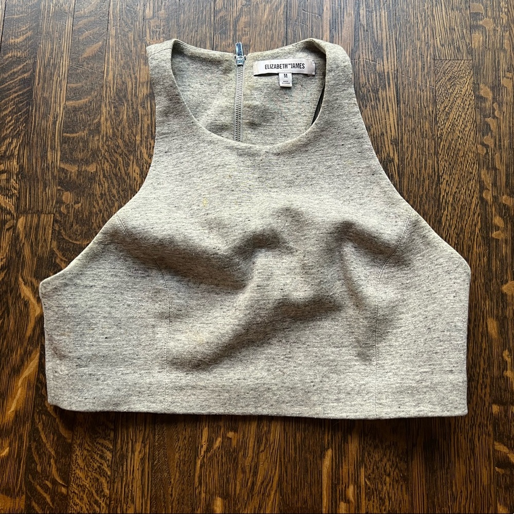 Gray Elizabeth & James Crop Top